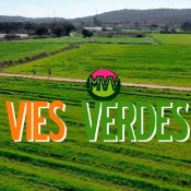 Marató vies verdes